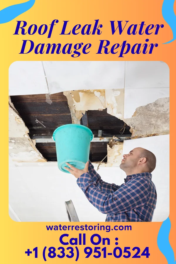 Roof Leak Water Damage Repair in Wheatland, MT